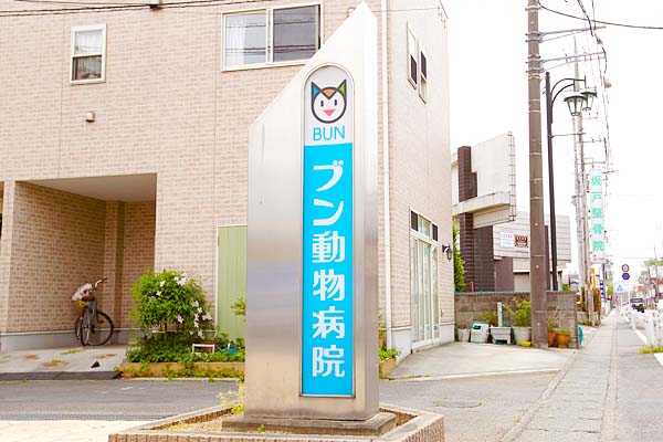 アクセス 