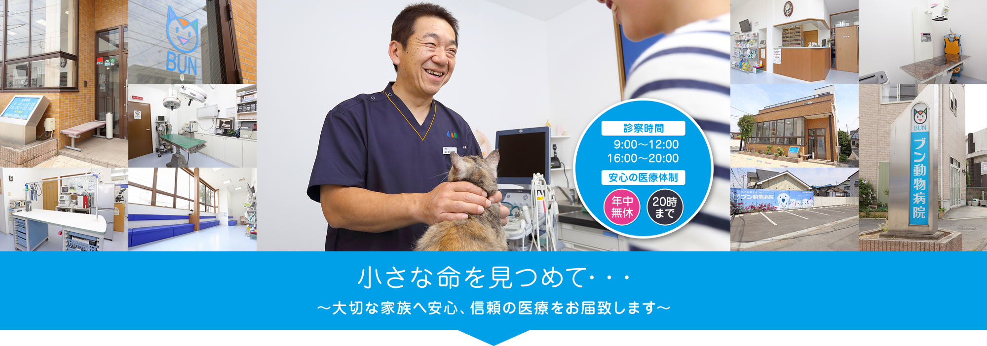 ブン動物病院