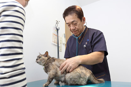 心臓疾患の治療について
